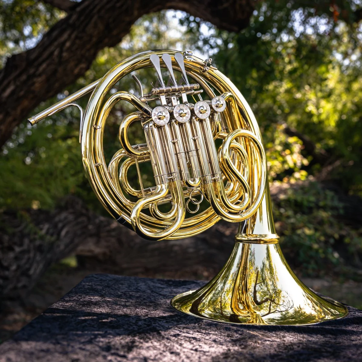 French Horn